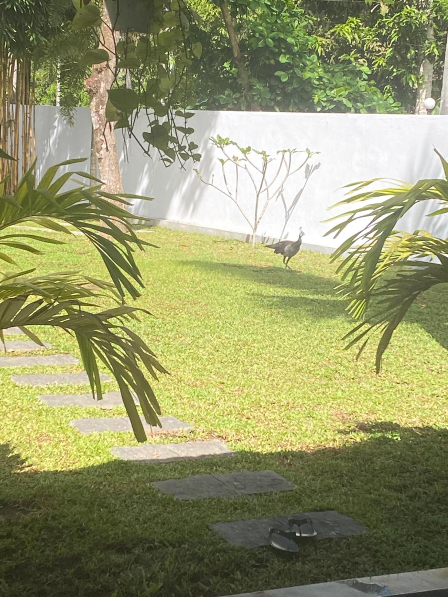 Villa 2A Matara Exterior foto