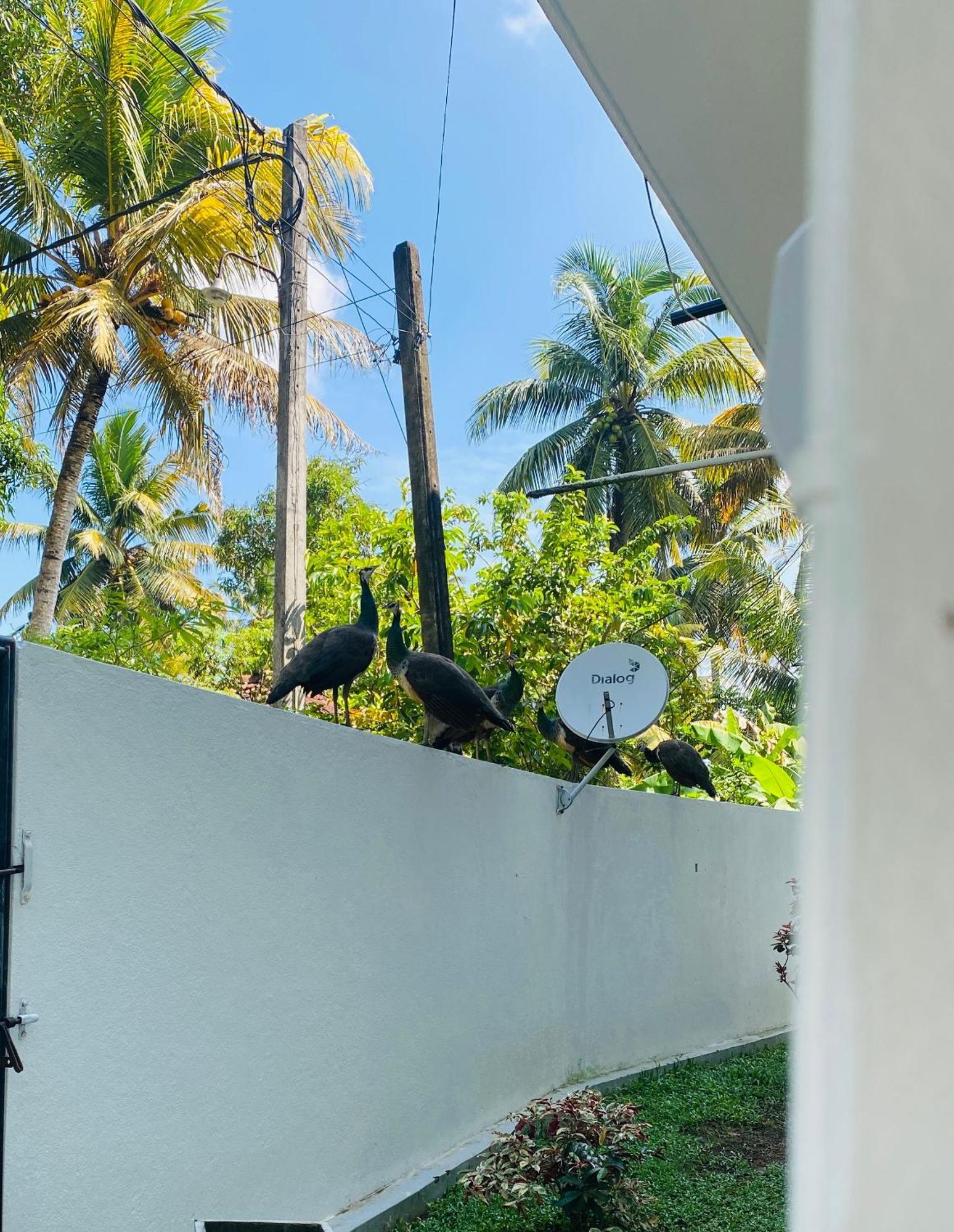 Villa 2A Matara Exterior foto